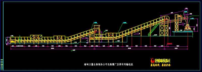 甘蔗糖廠輸蔗機整條生產線總圖